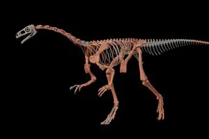 В Аргентине нашли скелет одного из древнейших динозавров в мире