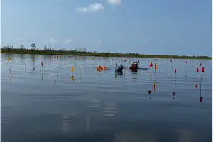 Мая — бизнесмены: археологи нашли под водой уникальный солеварный комплекс