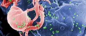 Ученые выяснили, как ВИЧ удается скрываться в организме