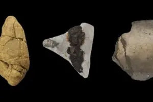 Рассказала о древних гендерных ролях: ученые изучили жвачку возрастом 6000 лет