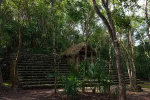 Археологи идентифицировали имя правительницы древнего города Майя