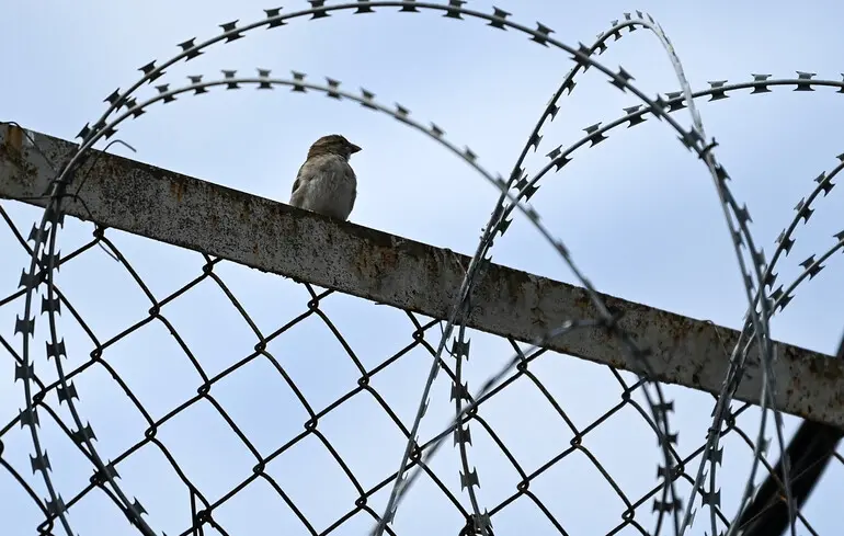 Russia in a Whirlpool of Repressions: Regime Consumes Itself