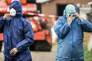 Пташиний грип охоплює Європу: понад півсотні спалахів у 10 країнах
