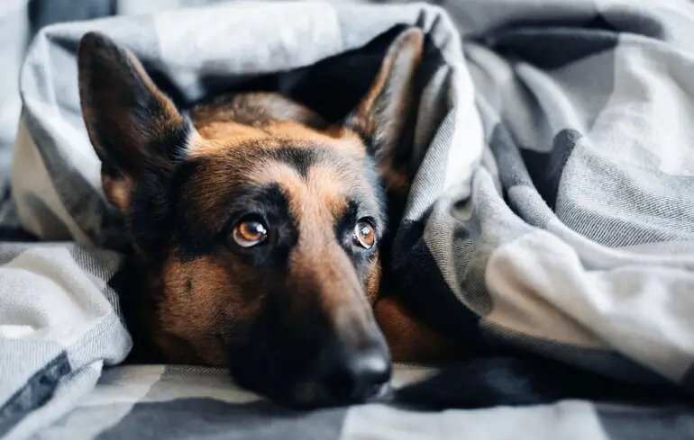 У Києві та області повідомили, коли почнуть подавати тепло в будинки