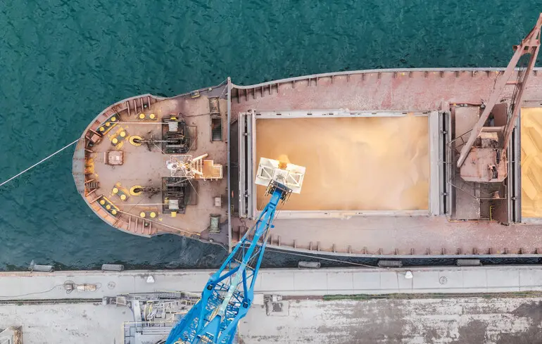 Зростання промисловості ОПК є міфом, Україна нарощує аграрно-сировинний експорт – експерт