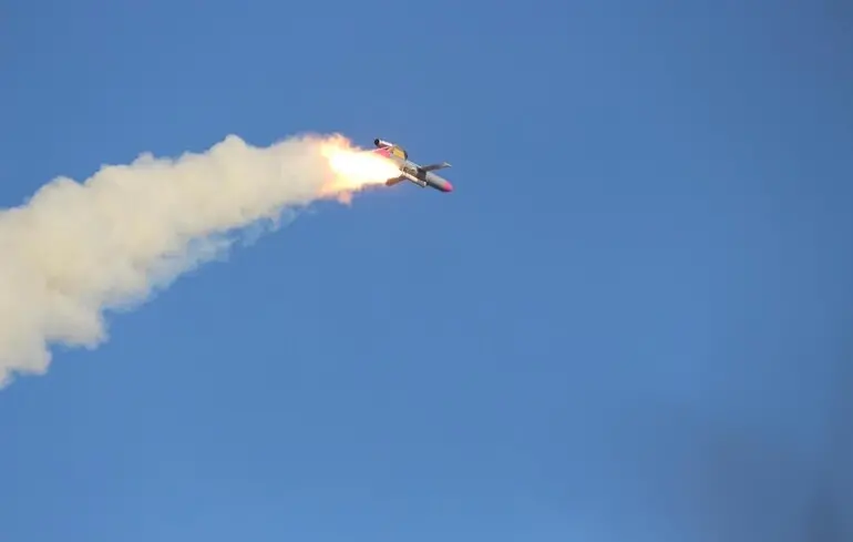 Зеленський озвучив кількість застосувань «Фламінго» по Росії