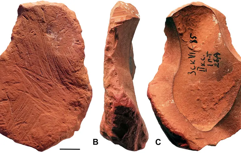 Фрагменти знайденої охри.