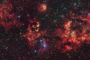 Астрономи зробили знімок космічного кажана