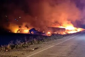 Из-за дроновой атаки в Одесской области вспыхнул пожар, погибли люди — ГСЧС показала последствия