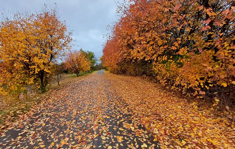 До +18 в ноябре: синоптик рассказал, где будет тепло