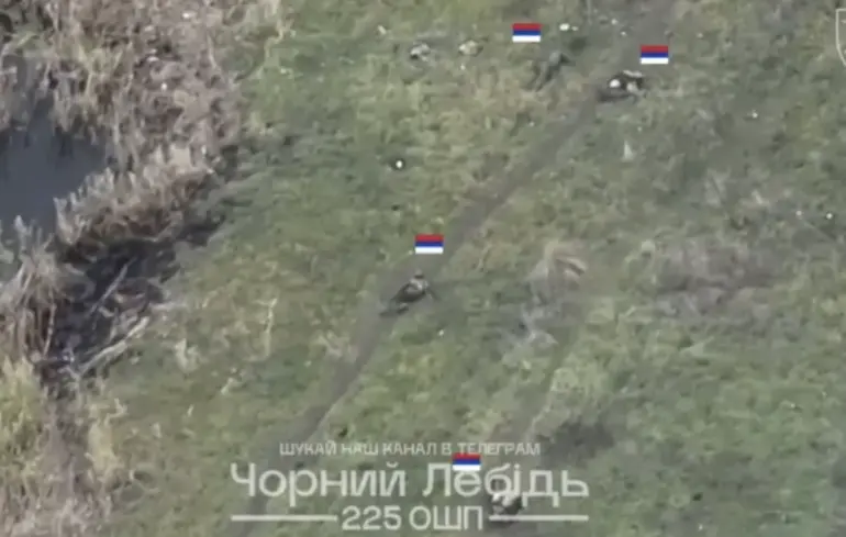 «Трупы через каждые 10–15 метров»: 225-й штурмовой полк показал последствия боев вблизи Панковки