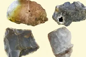 Археологічне відкриття змінює уявлення про еволюцію: люди 2,75 мільйона років тому були винахідниками