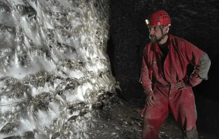 Самая большая паутина в мире: исследователи нашли дом 111000 пауков