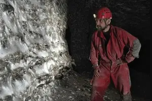 Самая большая паутина в мире: исследователи нашли дом 111000 пауков