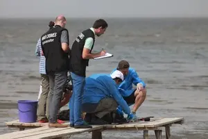 Без зброї проти браконьєрів і системи: як працюють рейнджери парку «Тузлівські лимани»