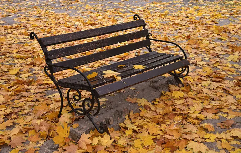 Тепло триває: синоптик розповів, якою буде погода у вихідні