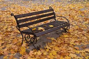 Тепло продолжается: синоптик рассказал, какой будет погода в выходные