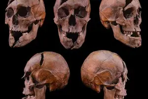 Археологи розкрили 700-річну таємницю вбивства угорського герцога