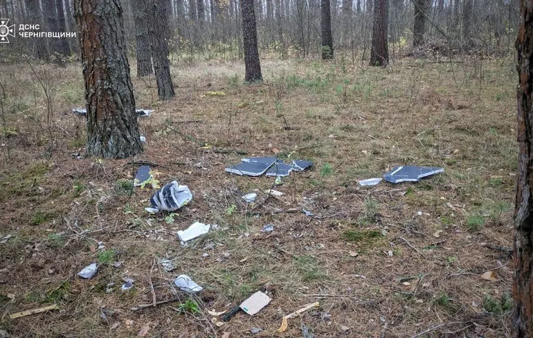 На Чернігівщині вибухнув дрон: постраждали двоє підлітків-грибників