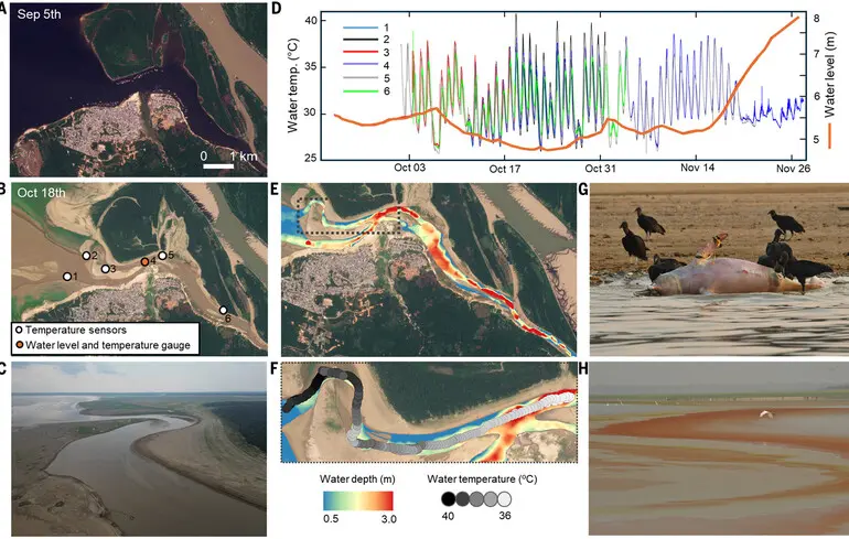Значна посуха та нагрівання води озера Тефе.