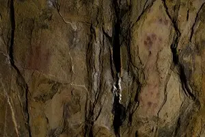 Неандертальці були художниками: вони створювали мистецтво 64 тисячі років тому