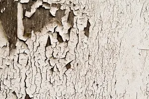 A Blow to Decentralization: The Syndrome of Expired Power