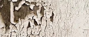 A Blow to Decentralization: The Syndrome of Expired Power