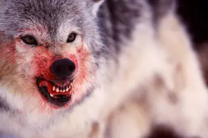 «Поріг крові». Масові розстріли росіянами своїх військовослужбовців — норма чи відхилення?