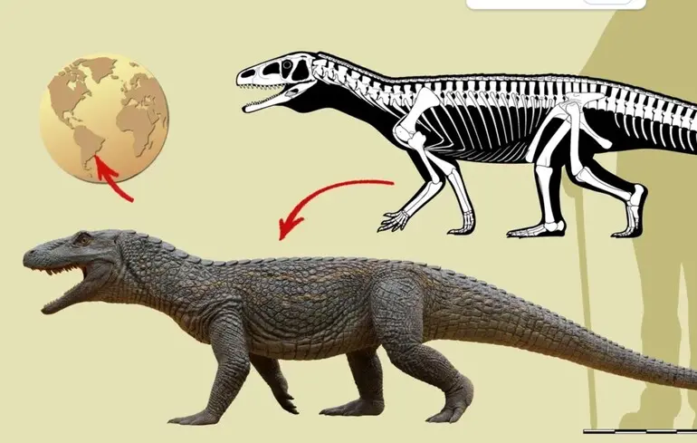 Виглядав як динозавр: вчені знайшли рештки гігантського ящера-