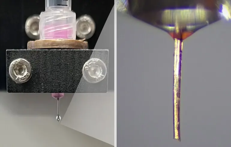 Экспериментальная установка, показывающая хоботок самки комара, установленный на специальном 3D-принтере DIW.