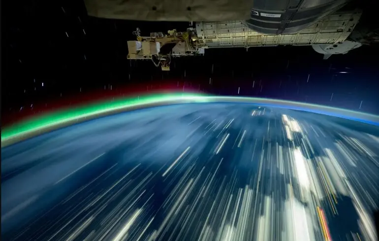 Повернулися та проросли: як 80% спор моху пережили 9-місячну подорож у космосі