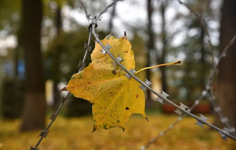 Мокрый снег и дожди: синоптик рассказал, где их ждать