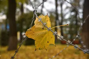 Мокрый снег и дожди: синоптик рассказал, где их ждать