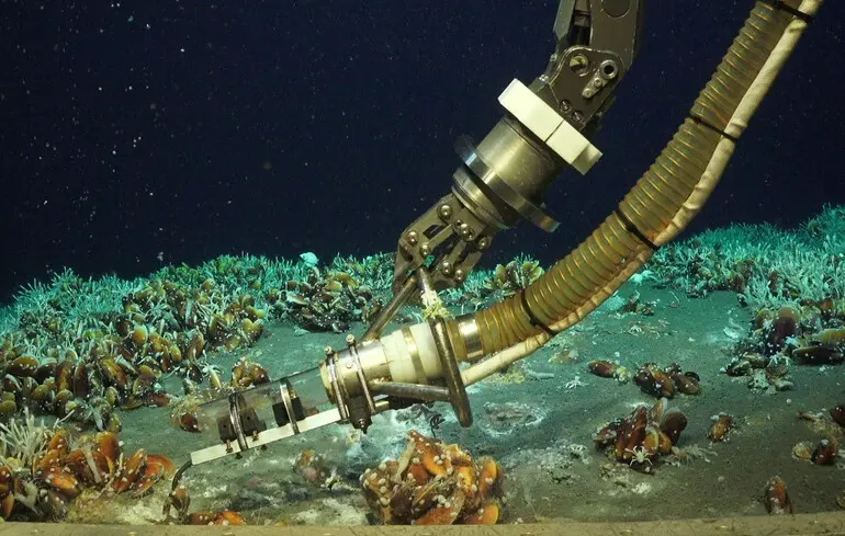 «Настоящий сюрприз»: ученые обнаружили в океане загадочную аномалию