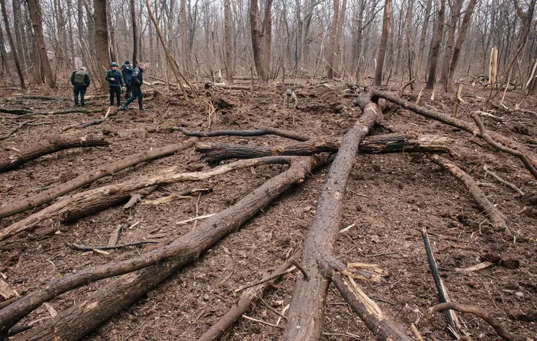 Як Фонд природи України рятує природоохоронні території в умовах війни