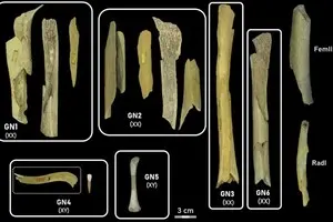 Жахливий секрет: неандертальці з'їли жінок і дітей з іншого племені