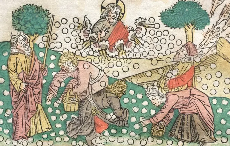 Середньовічні селяни мали лікарняні та відпустки: що з'ясували вчені