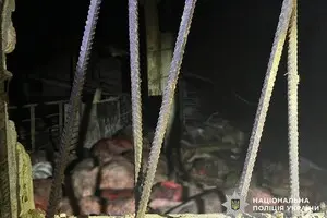 Дроны в Черниговской области попали в транспортную инфраструктуру и предприятия: погибли около 1000 свиней