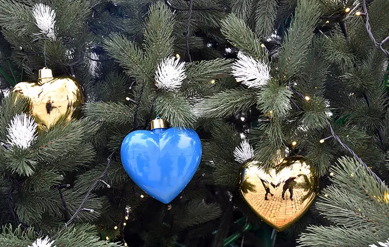 Новорічна ялинка: які ціни та коли почнуться продажі