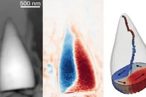Істота з GPS: перший прямий доказ, що стародавні тварини орієнтувалися за магнітним полем Землі