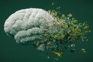 “Старіння” в 20 років: вчені розкрили два фактори, що шкодять мозку молоді