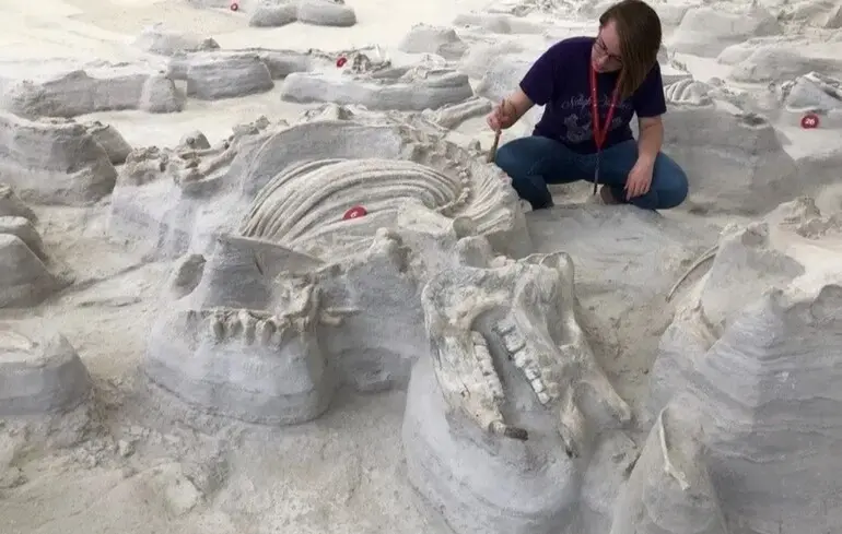 Пережили виверження Єллоустоуна: вчені знайшли сліди страшних доісторичних собак