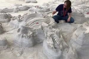 Пережили виверження Єллоустоуна: вчені знайшли сліди страшних доісторичних собак