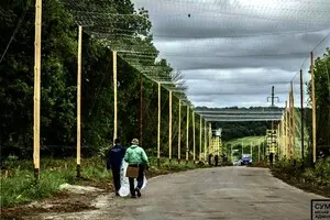 Россияне придумали, как разрушать антидроновую защиту ВСУ, эффективного противодействия пока что нет — Defense Express