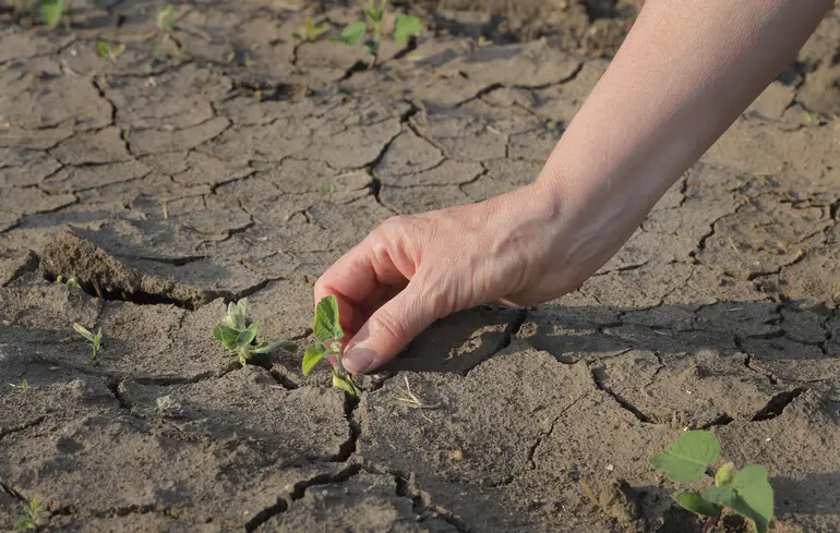Водні запаси Європи висихають: супутники зафіксували катастрофічні зміни за 22 роки — The Guardian