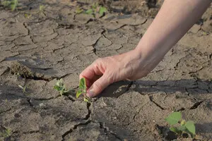 Водные запасы Европы высыхают: спутники зафиксировали катастрофические изменения за 22 года — The Guardian