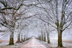 Первая неделя зимы: синоптик рассказал, будет ли она холодной