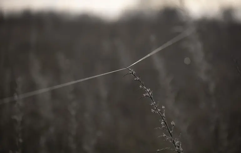 Як оптоволокно від дронів допомогло зупинити штурм росіян на мотоциклах — відео
