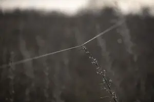 Як оптоволокно від дронів допомогло зупинити штурм росіян на мотоциклах — відео