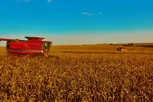 Урожай в Украине: аграрии теряют прибыли из-за логистики экспорта